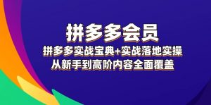 图片[1]-（12019期）从新手到高阶内容全面覆盖，拼多多 会员，拼多多实战宝典+实战落地实操，-华创网