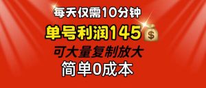 图片[1]-（12004期）每天仅需10分钟，单号利润145 可复制放大 简单0成本-华创网