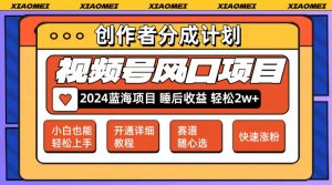 图片[1]-（12043期）微信视频号大风口项目 轻松月入2w+ 多赛道选择，可矩阵，玩法简单轻松上手-华创网