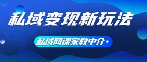 图片[1]-（12047期）私域变现新玩法，网课家教中介，只做渠道和流量，让大学生给你打工、0…-华创网