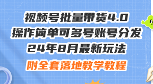 图片[1]-（12051期）24年8月最新玩法视频号批量带货4.0，操作简单可多号账号分发，附全套落…-华创网