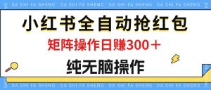 图片[1]-（12108期）最新小红书全自动抢红包，单号一天50＋ 矩阵操作日入300＋，纯无脑操作-华创网