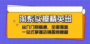 图片[1]-（12231期）淘系实操精英班：从入门到精通，全面覆盖，一站式掌握店铺盈利秘籍-华创网