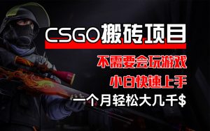 图片[1]-（12283期）CSGO 装备搬砖项目，操作简单，不需要会玩游戏，小白也能快速上手，-华创网