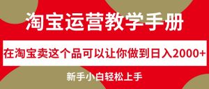 图片[1]-（12302期）淘宝运营教学手册，在淘宝卖这个品可以让你做到日入2000+，新手小白-华创网