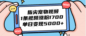 图片[1]-（12530期）指尖宠物视频，1条视频涨粉1700，单日变现5000+-华创网